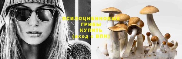 прущая мука Струнино