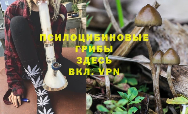 прущие крисы Ступино