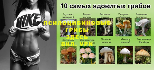 дурь Строитель