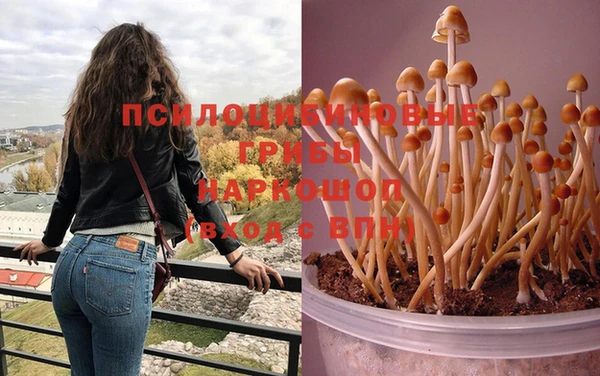 прущие крисы Ступино